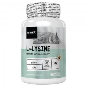 L-Lysine für Katzen