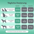 Hanföl für Hunde und Katzen Dosierung