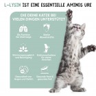 Vorteile von L-Lysin für Katzen